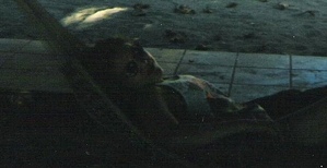 El Tecuán 1998